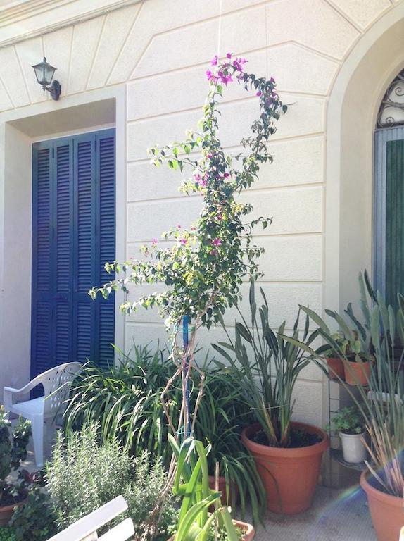 Bed and Breakfast Casa Fornaciari Viareggio Exterior foto